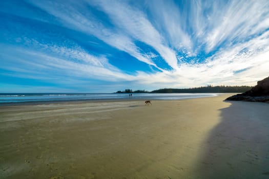 Sunset on a long beach of Pacific ocean shore on Vancouver Island.
