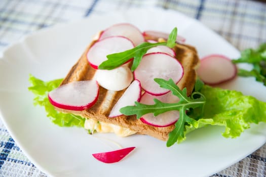 Hot sandwich of fried toast stuffed with cheese, herbs and radishes in a bowl on the table