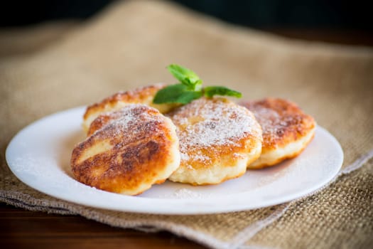 Sweet cooked cheesecakes in powdered sugar in a plate on the table.