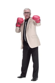 in full growth. Mature, intelligent man in Boxing gloves. isolated on a white background.