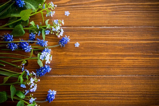 Wooden background with spring flowers and empty space for text.