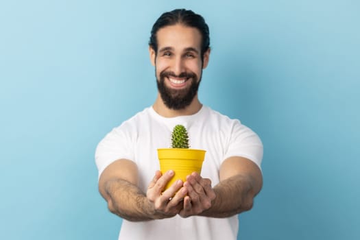 Portrait of handsome man bodybuilder with beard wearing white T-shirt holding out flower pot with cactus, looking at camera with toothy smile. Indoor studio shot isolated on blue background.