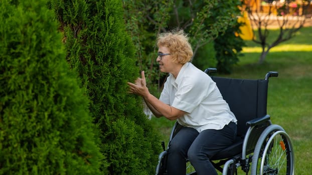 Happy elderly woman in a wheelchair rejoices in a walk outdoors