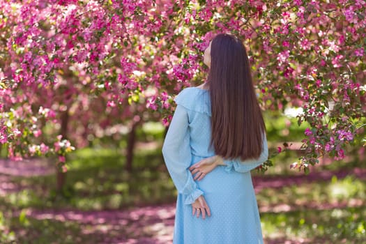 A girl with dark long hair, in a light blue dress standing near pink blooming garden, in the garden. Rear view. Close up. Copy space