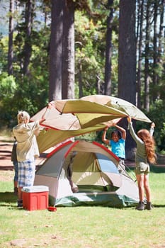 Children, tent and camping setup in forest for shelter, cover or insurance together on the grass in nature. Happy kids in teamwork setting up tents for camp adventure or holiday vacation in the woods.