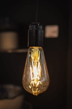 Vintage Edison lamp in warm color with filaments in the dark loft cafe interior on a blurred background, vertical.