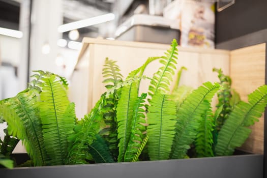 Artificial plants in a long floor planter, greenery in the interior.