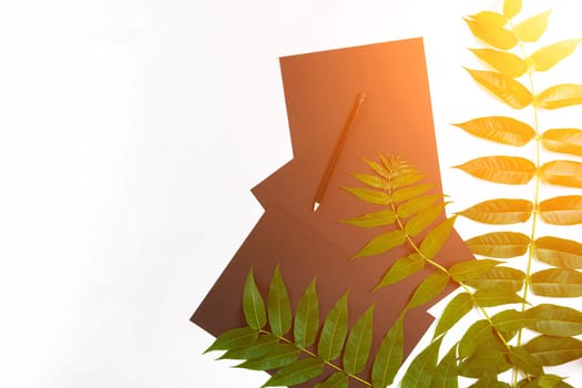 Natural composition with sketchbook and pencils on white table, decorated with green branches. Flat lay, top view, copy space. Still life. Sun flare