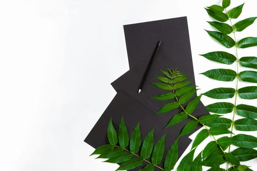 Natural composition with sketchbook and pencils on white table, decorated with green branches. Flat lay, top view, copy space. Still life