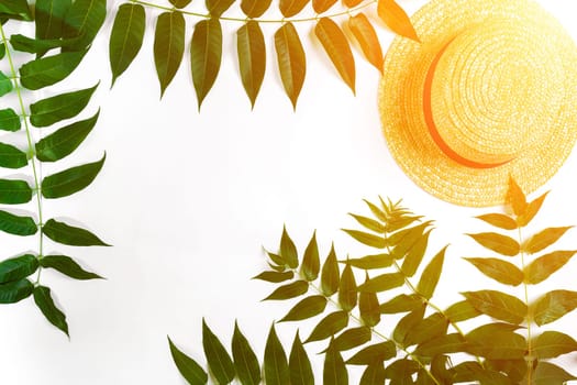 Green leaf branches and straw haton white background. flat lay, top view. Copy space. Still life. Sun Flare