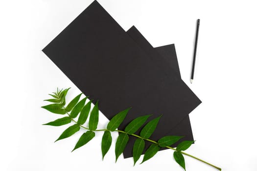 Natural composition with sketchbook and pencils on white table, decorated with green branches. Flat lay, top view, copy space. Still life