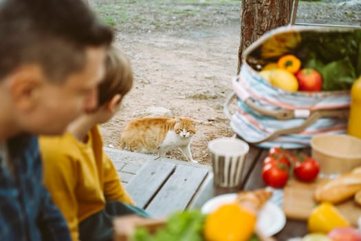 Father dad school kid boy child having a picnic with cat in the forest camping site with vegetables, juice, coffee, and croissants. Fresh organic veggies surrounded with bread baguettes