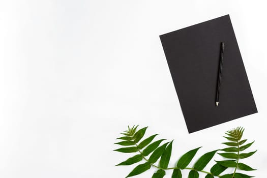 Natural composition with sketchbook and pencils on white table, decorated with green branches. Flat lay, top view, copy space. Still life