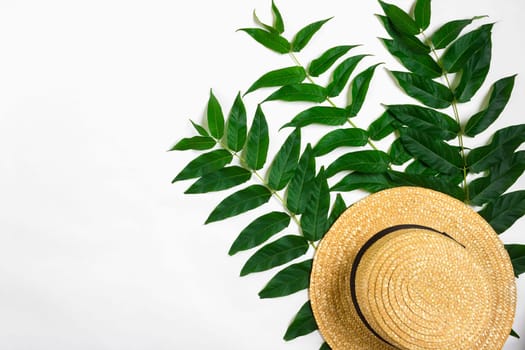 Green leaf branches and straw haton white background. flat lay, top view. Copy space. Still life