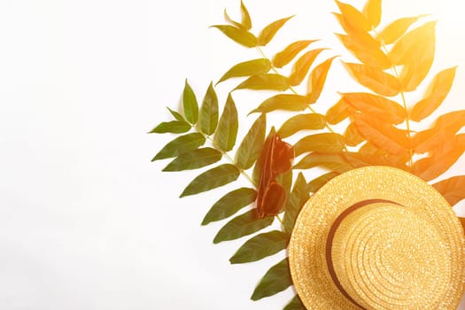 Green leaf branches and straw haton white background. flat lay, top view. Copy space. Still life. Sun Flare