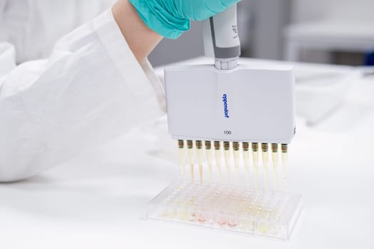 A multichannel pipette dispenser is utilized by scientist to load microplates for DNA or blood test, May 2023, San Francisco, USA.