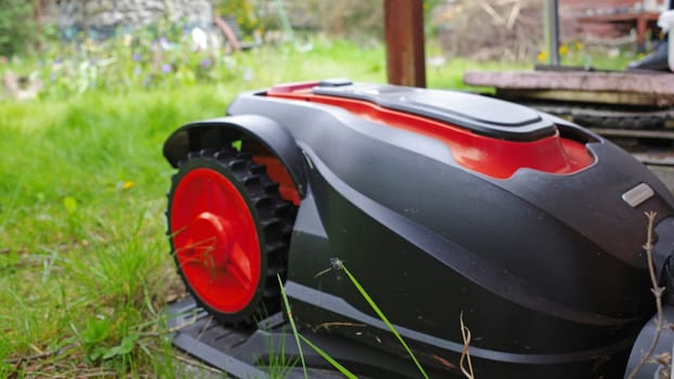 Black-red mowing robot is charging. It's not allowed to work this month because it's No Mow May. Lazy gardening