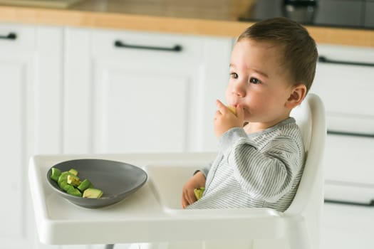 Happy baby sitting in high chair eating carrot in kitchen. Healthy nutrition for kids. Bio carrot as first solid food for infant. Children eat vegetables. Little boy biting raw vegetable