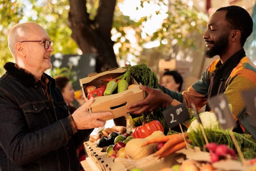 Old person receiving box of fresh fruits and veggies at farmers market, visiting stand on sunny day. Smiling african american man small business owner selling home grown organic produce.