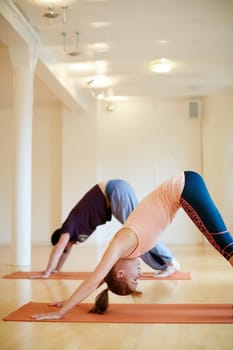 Enjoying their yoga session. two people doing yoga together in a studio
