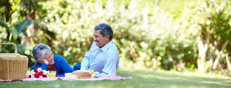 Theyve always made time for love and romance. a loving senior couple enjoying a picnic together outdoors