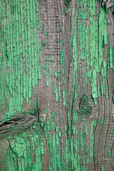 Wood texture with green flaked paint. Peeling paint on weathered wood. Old cracked paint pattern on rusty background. Chapped paint on an old wooden surface