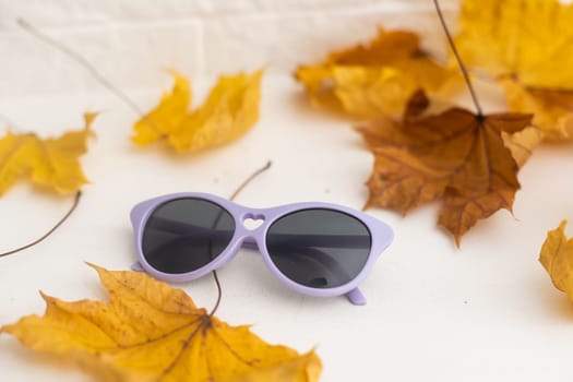 dry autumn leaves and sunglasses.