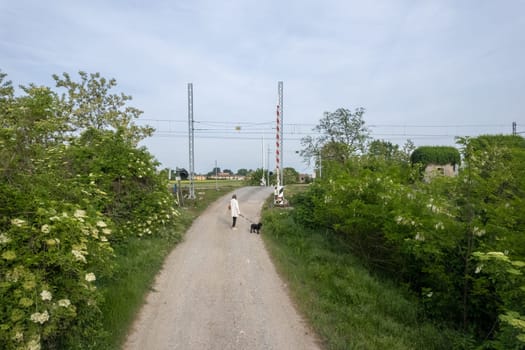 aerial drone shot of a woman and dog walking in the countryside, near railroad in between rural fields and vegetation
