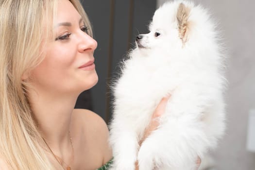 Portrait of a beautiful caucasian blonde girl and a white small and fluffy spitz dog. Happy woman and domestic dog look at each other. Close-up. Concept.