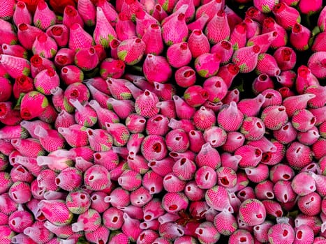 Full-frame close-up of stack of rose flower wrap for sale