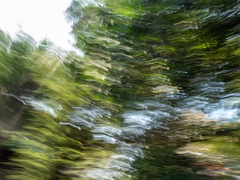 Motion blurred leaf of the trees along the road as the cars pass by