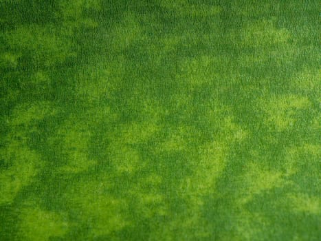 Agave succulent plant, close up texture on freshness leaves full-frame of Agave leaf