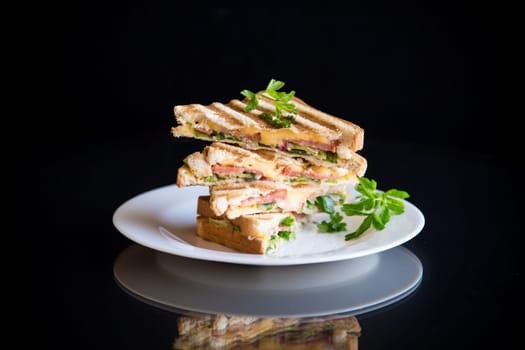 fried toasts stuffed with sausage, cheese and greens inside, isolated on black background.