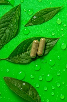 Capsules herb supplements on green leaves background. Selective focus. Green,