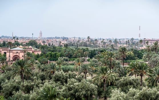 marrakech morocco rooftop view