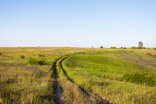 Young couple walking in the meadow, walking with dogs outdoors, beautiful setting sun