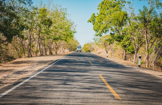 Concrete road surrounded by trees and branches. Asphalt road surrounded by trees with a bus on the road, View of a paved road surrounded by trees at sunset