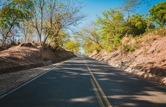 Beautiful road surrounded by trees with a bus on the road, View of a paved road surrounded by trees at sunset. Concrete road surrounded by trees and branches