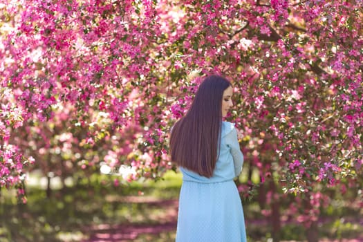 A girl with long hair, in a light blue dress standing near pink blooming garden, in the garden. Rear view. Close up. Copy space