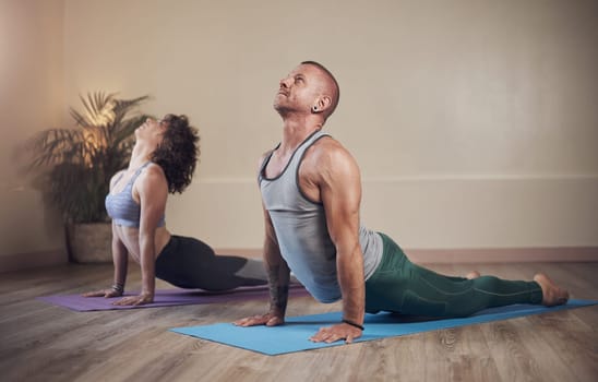 Feel the stretch in the lower back. Full length shot of two young yogis holding an upward facing dog pose during an indoor yoga session