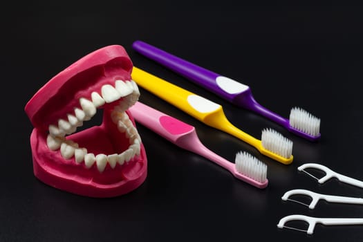 Layout of human jaw with the silicone floss toothpicks and the toothbrushes on the black background.