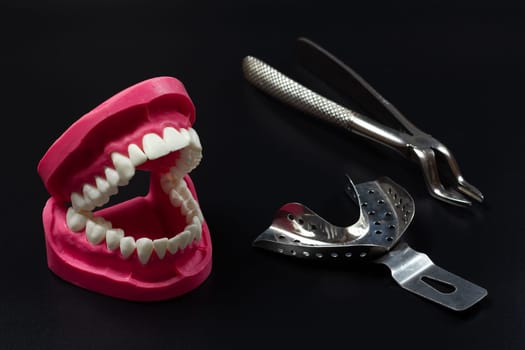 Layout of a human jaw, a stainless steel dental pliers and dental impression tray on the black background.