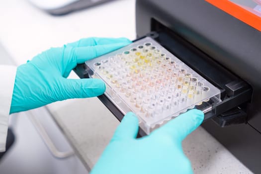 The analysis of multiple samples for microbiological purposes is carried out by a scientist by inserting a microplate into a microplate spectrophotometer.