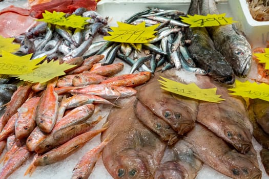 Fresh catch of fish for sale at a market in Barcelona, Spain