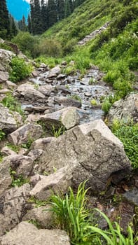 mountain river among rocks on a summer day.