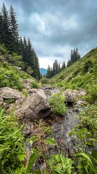 mountain river among rocks on a summer day.