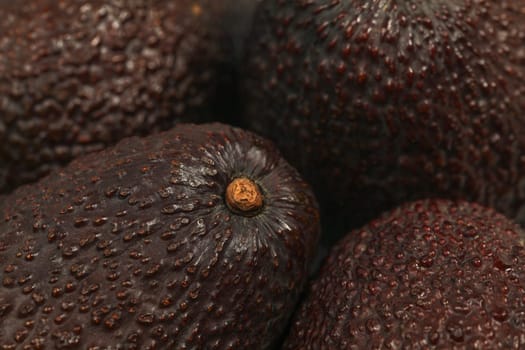 Closeup of dark ripe avocado skin.