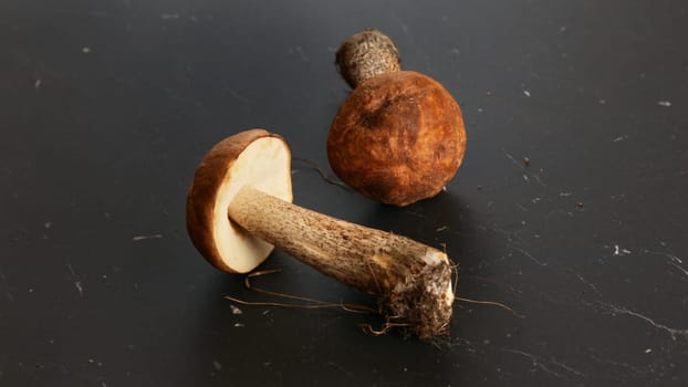 Two birch bolete (scaber stalk) mushrooms on black marble board.