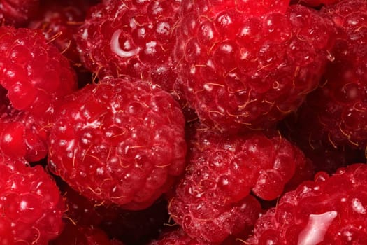 Closeup detail of raspberries wet from drops of water.