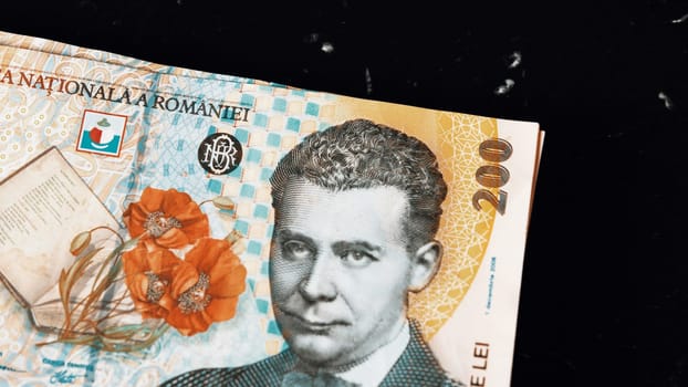 Romanian LEI Currency Banknote. RON Money European Currency